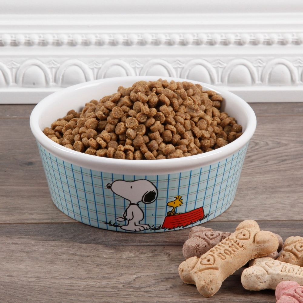Gibson Ceramic 5" Peanuts Classic Snoopy Pet Bowl NWT
